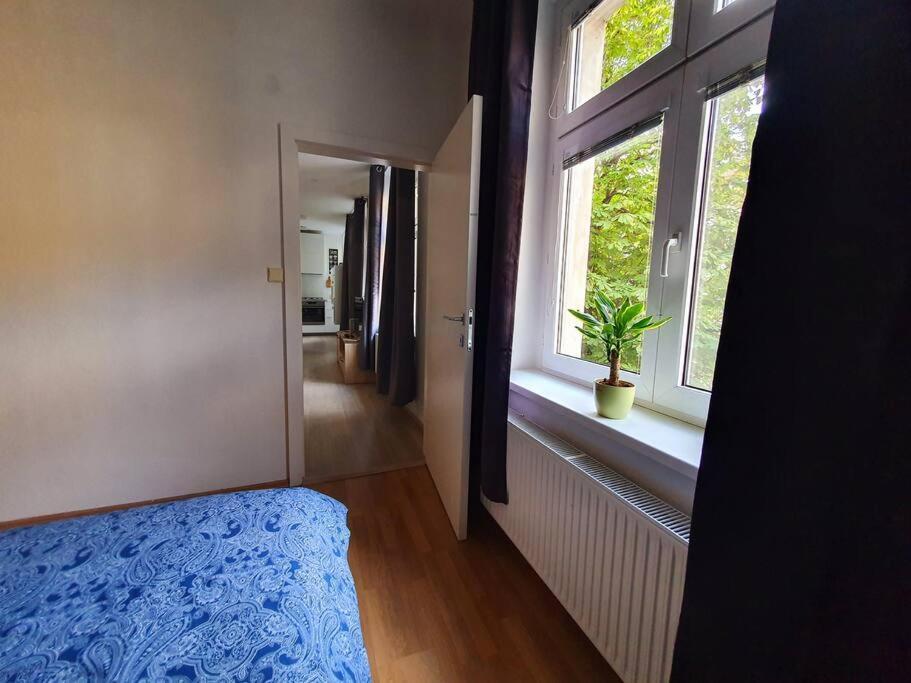 Lovely & Unique Apt In The Historic Center. Bratislava Eksteriør billede